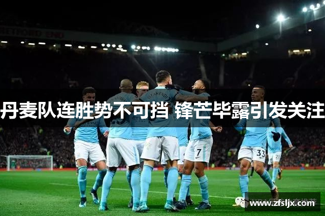 丹麦队连胜势不可挡 锋芒毕露引发关注