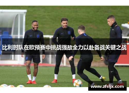 比利时队在欧预赛中挑战强敌全力以赴备战关键之战