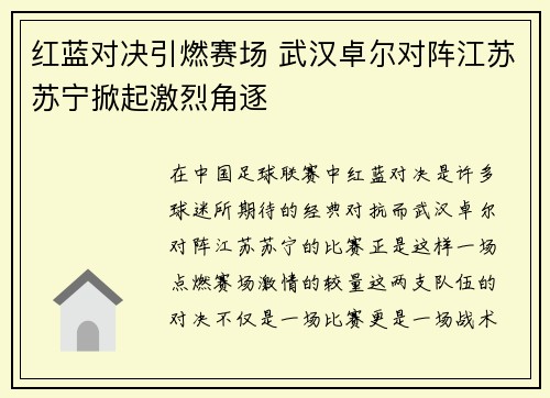 红蓝对决引燃赛场 武汉卓尔对阵江苏苏宁掀起激烈角逐