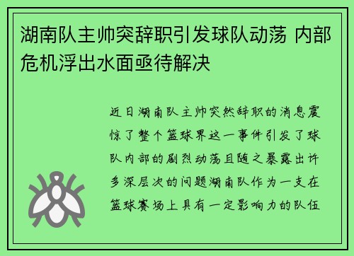 湖南队主帅突辞职引发球队动荡 内部危机浮出水面亟待解决